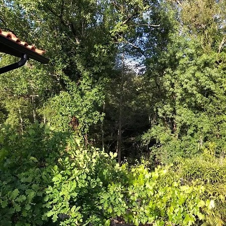 Quinta Vale Da Aldeia - *