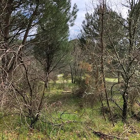 Quinta Vale Da Aldeia - *