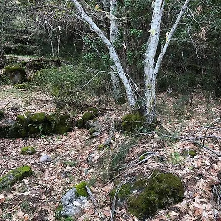 Quinta Vale Da Aldeia - Penalva do Castelo