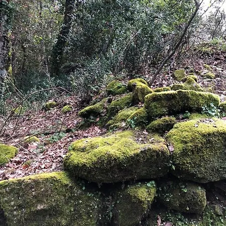 Quinta Vale Da Aldeia - *