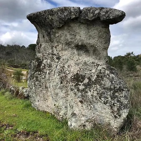 Quinta Vale Da Aldeia - * Penalva do Castelo